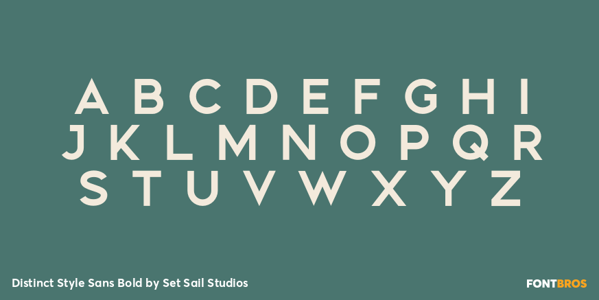 Distinct Style Sans Bold Font Poster #2