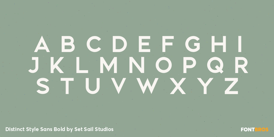 Distinct Style Sans Bold Font Poster #3