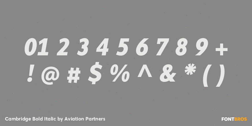 Cambridge Bold Italic Font Poster #4
