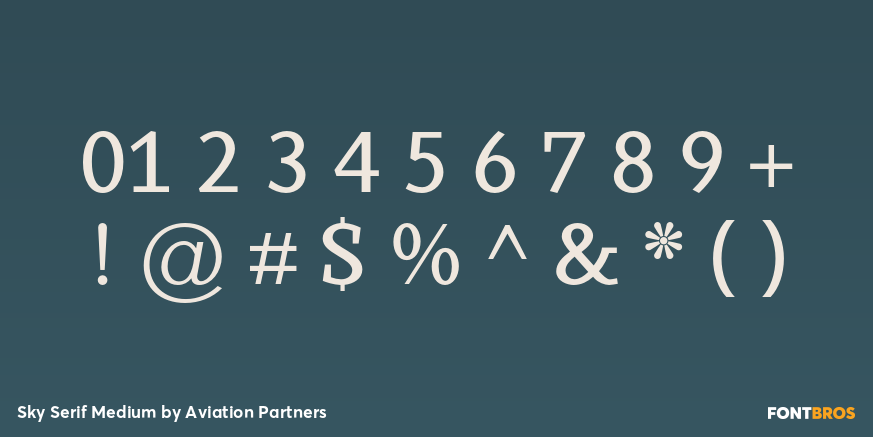 Sky Serif Medium Font Poster #4