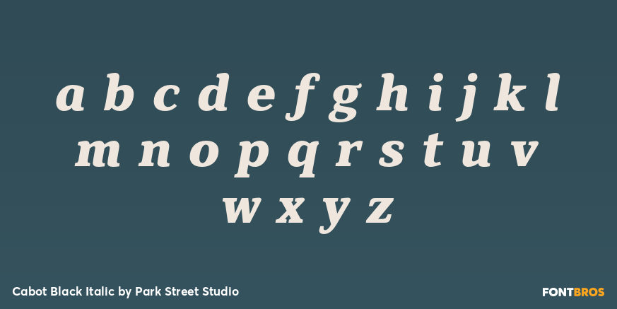 Cabot Black Italic Font Poster #3