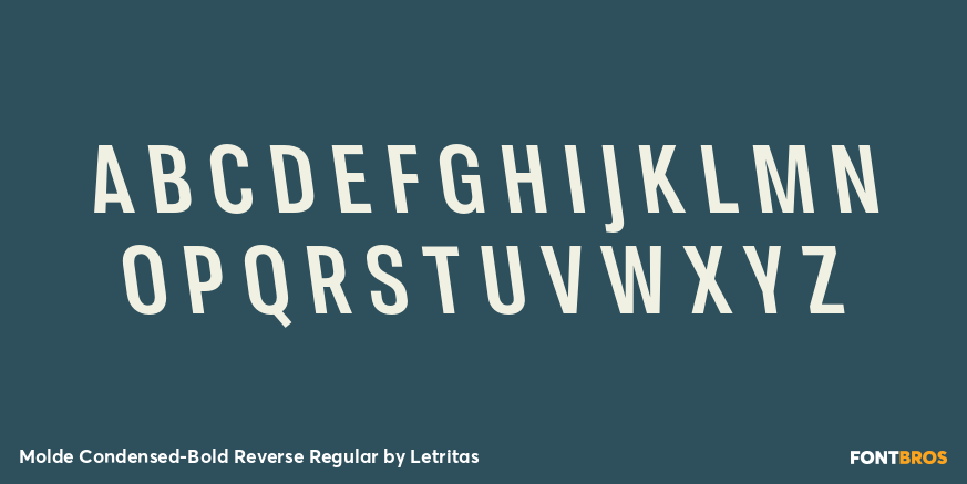 Molde Condensed-Bold Reverse Regular Font Poster #2