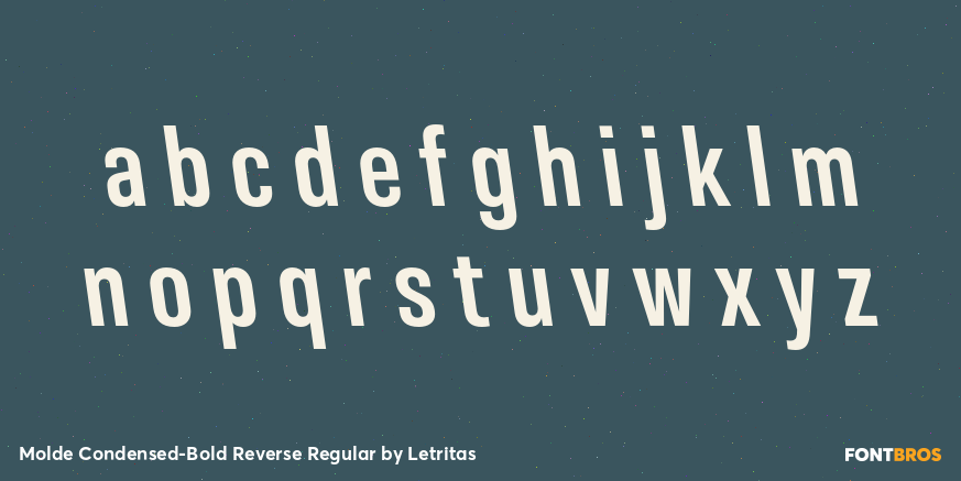 Molde Condensed-Bold Reverse Regular Font Poster #3