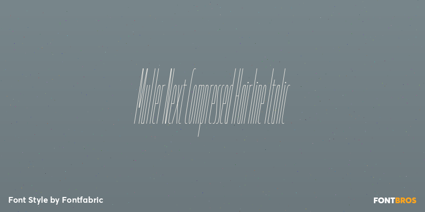 Muller Next Compressed Hairline Italic Poster