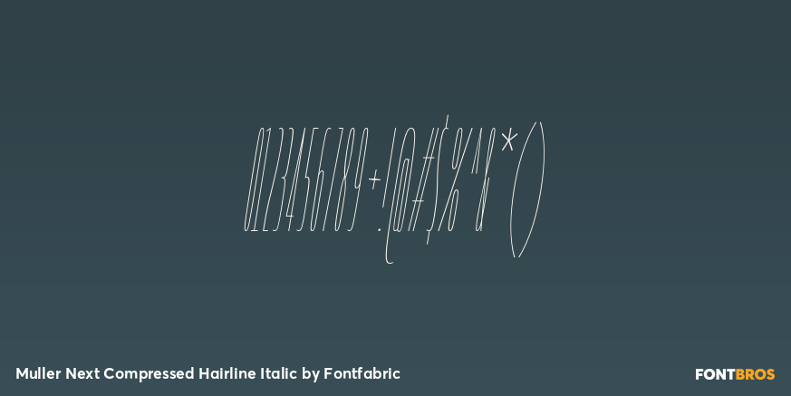 Muller Next Compressed Hairline Italic Font Poster #4