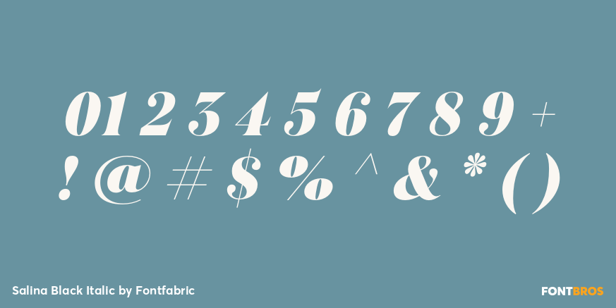 Salina Black Italic Font Poster #4