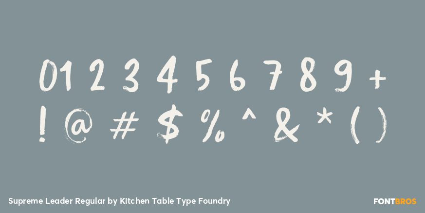 Supreme Leader Regular Font Poster #4