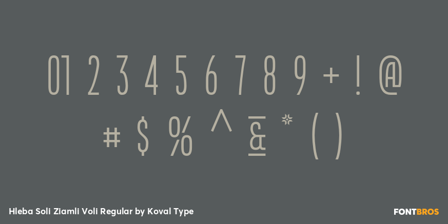 Hleba Soli Ziamli Voli Regular Font Poster #4