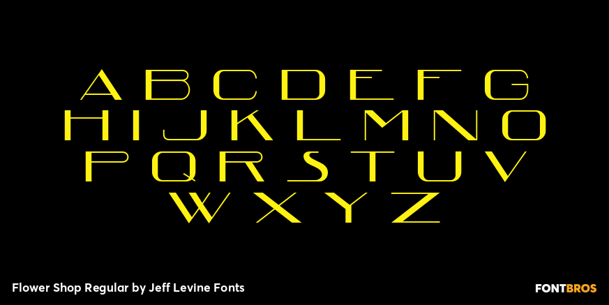 Flower Shop Regular Font Poster #3