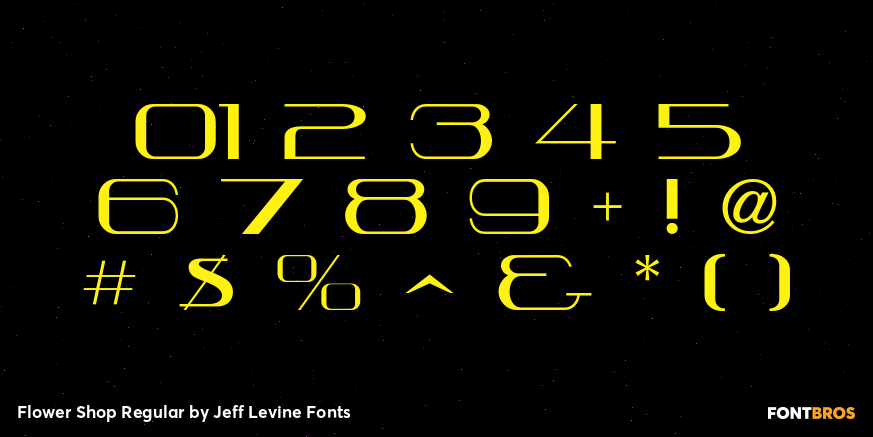Flower Shop Regular Font Poster #4