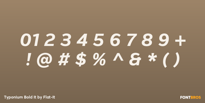 Typonium Bold It Font Poster #4