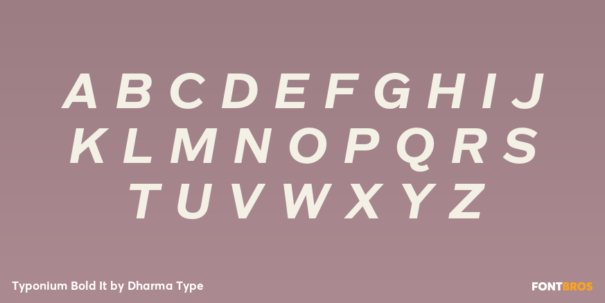 Typonium Bold It Font Poster #2
