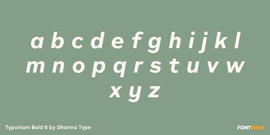 Typonium Bold It Font Poster #3