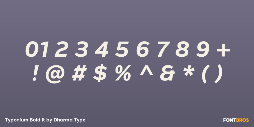 Typonium Bold It Font Poster #4