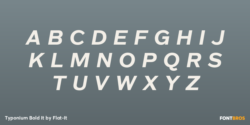 Typonium Bold It Font Poster #2