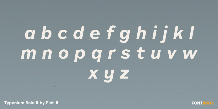 Typonium Bold It Font Poster #3