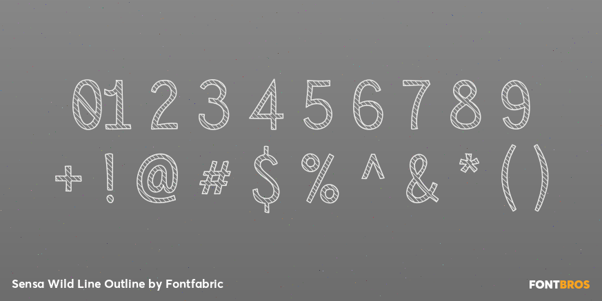 Sensa Wild Line Outline Font Poster #4