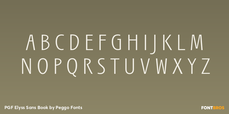 PGF Elyss Sans Book Font Poster #2