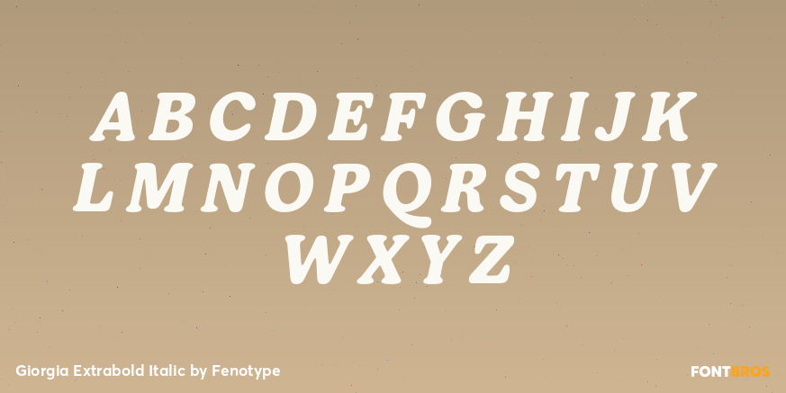 Giorgia Extrabold Italic Font Poster #2
