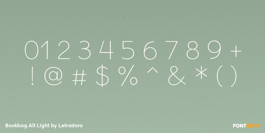 Bookbag Alt Light Font Poster #4