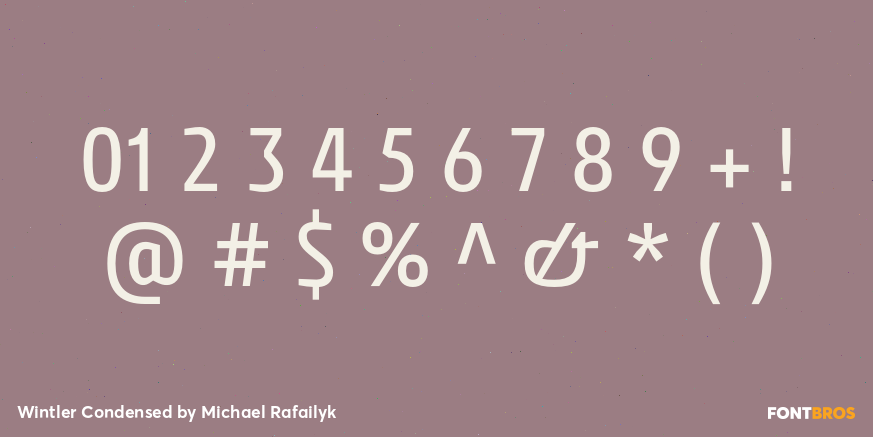 Wintler Condensed Font Poster #1