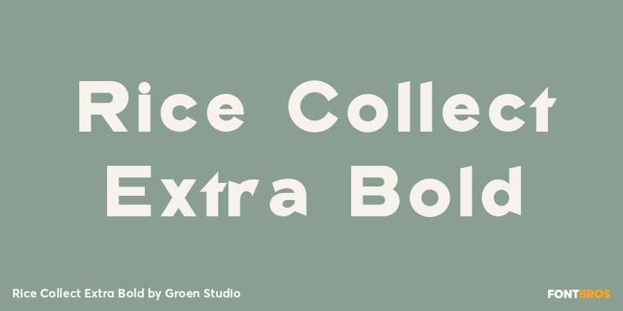 Rice Collect Extra Bold Poster