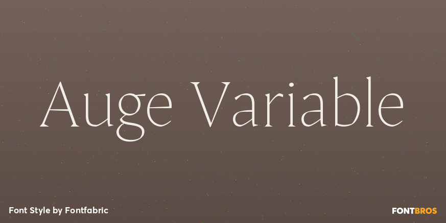 Auge Variable Poster