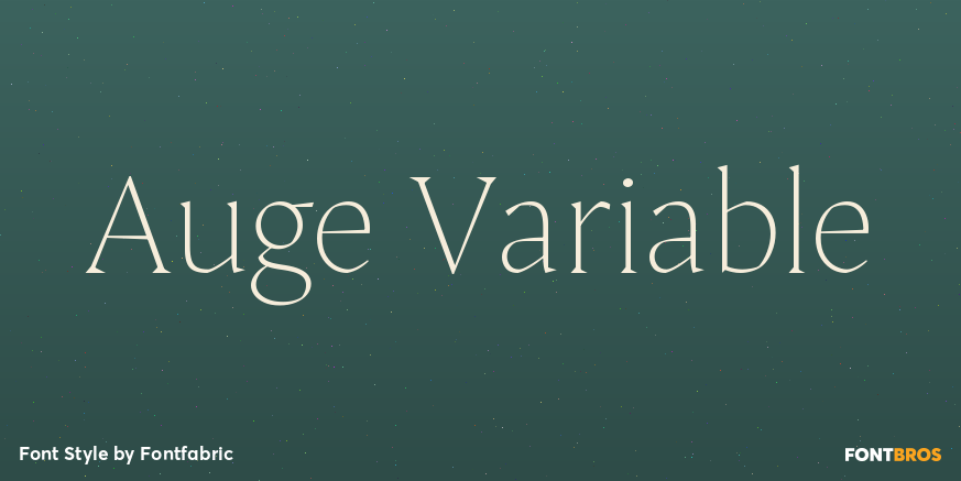 Auge Variable Poster