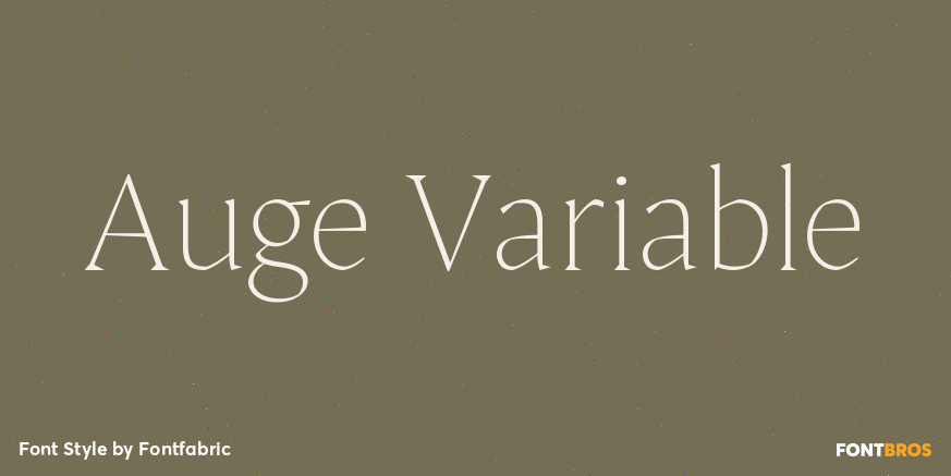 Auge Variable Poster