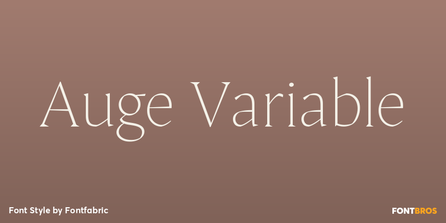 Auge Variable Poster