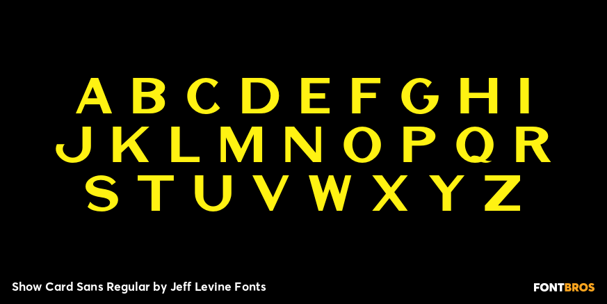 Show Card Sans Regular Font Poster #2