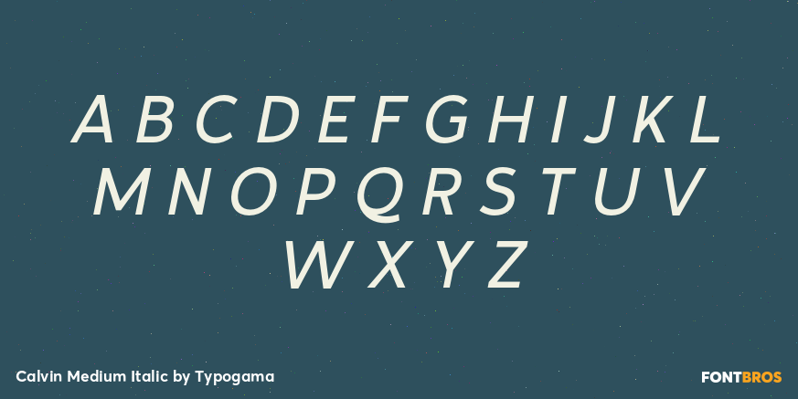 Calvin Medium Italic Font Poster #2