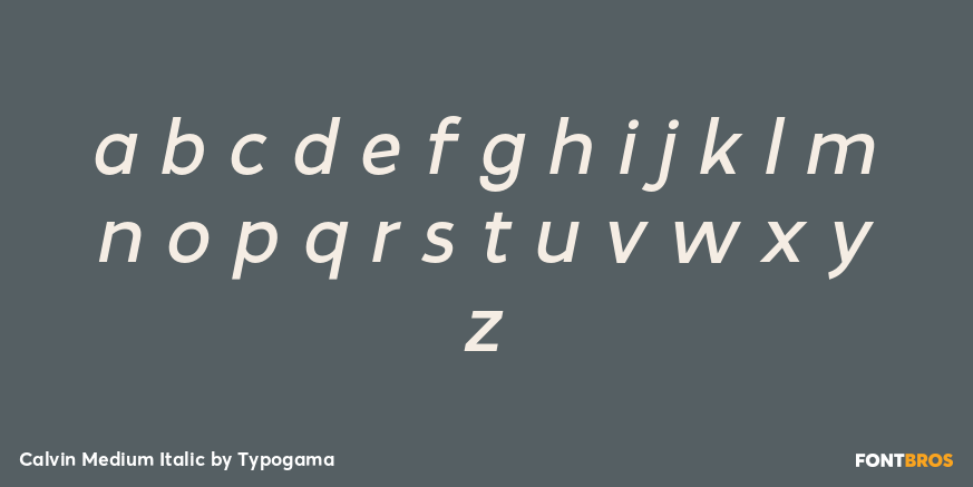 Calvin Medium Italic Font Poster #3