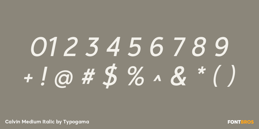 Calvin Medium Italic Font Poster #4