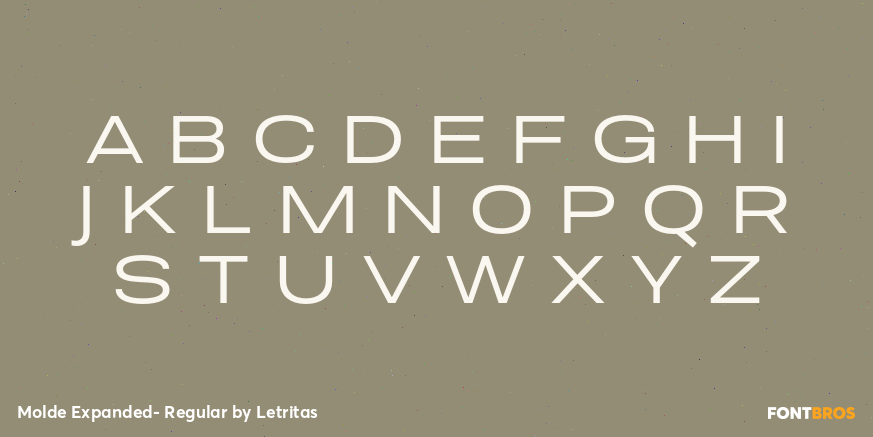 Molde Expanded- Regular Font Poster #2