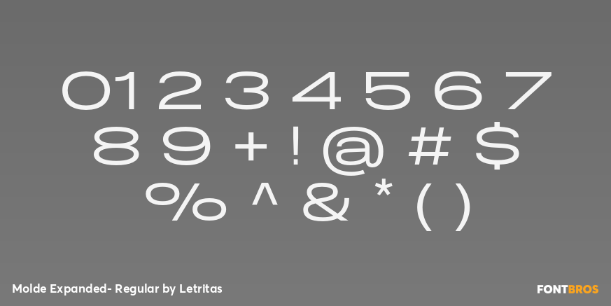 Molde Expanded- Regular Font Poster #4