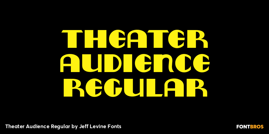 Theater Audience Regular Poster