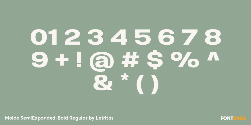Molde SemiExpanded-Bold Regular Font Poster #4
