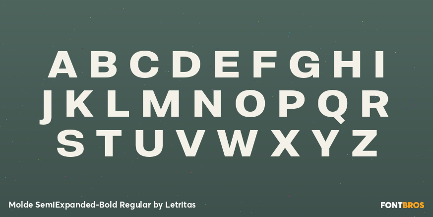 Molde SemiExpanded-Bold Regular Font Poster #2