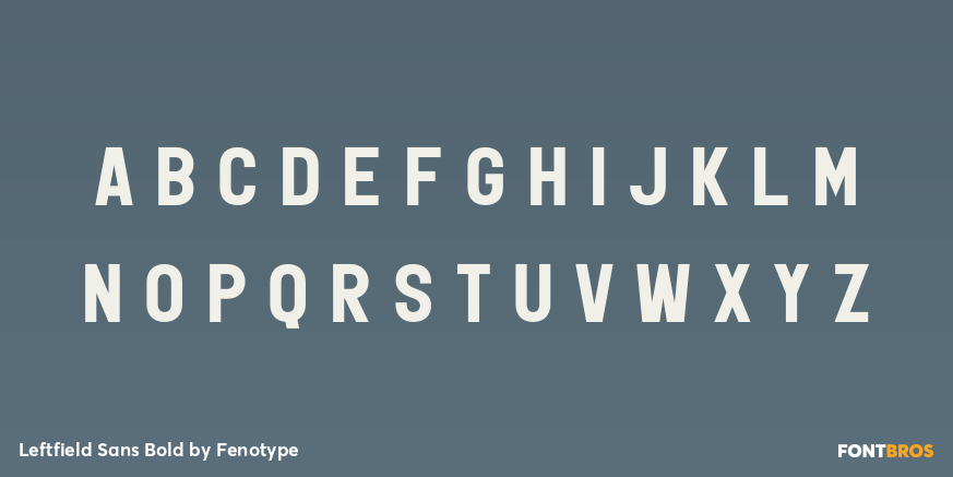 Leftfield Sans Bold Font Poster #2