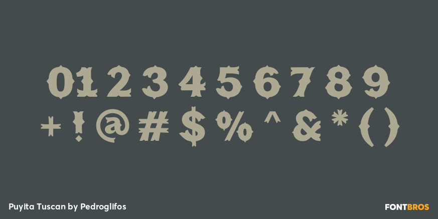 Puyita Tuscan Font Poster #4