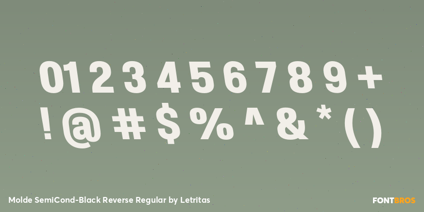 Molde SemiCond-Black Reverse Regular Font Poster #4