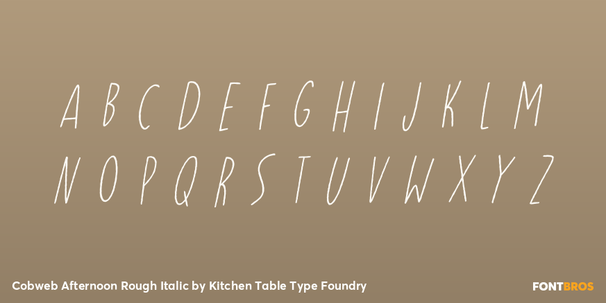 Cobweb Afternoon Rough Italic Font Poster #3