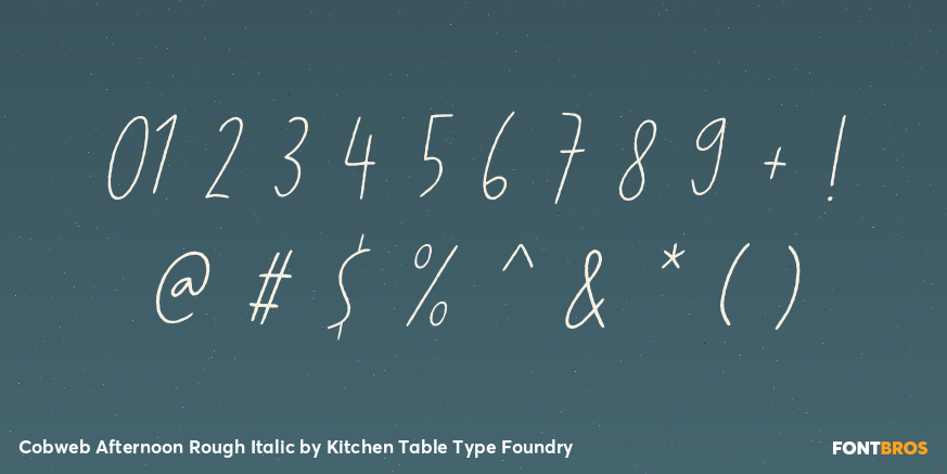 Cobweb Afternoon Rough Italic Font Poster #4