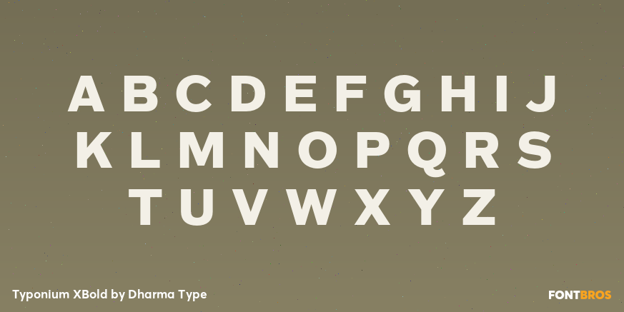 Typonium XBold Font Poster #2