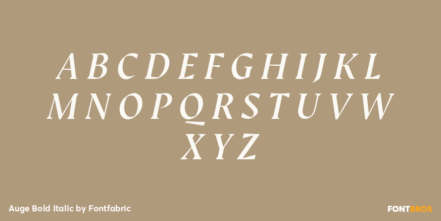 Auge Bold Italic Font Poster #2