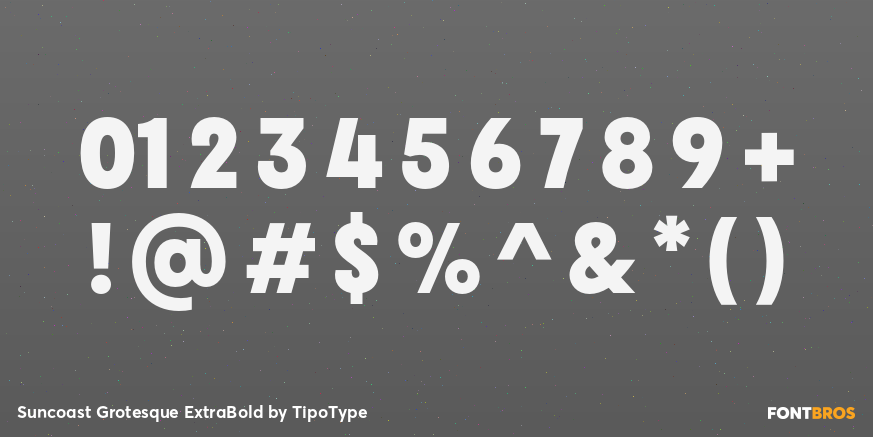 Suncoast Grotesque ExtraBold Font Poster #1