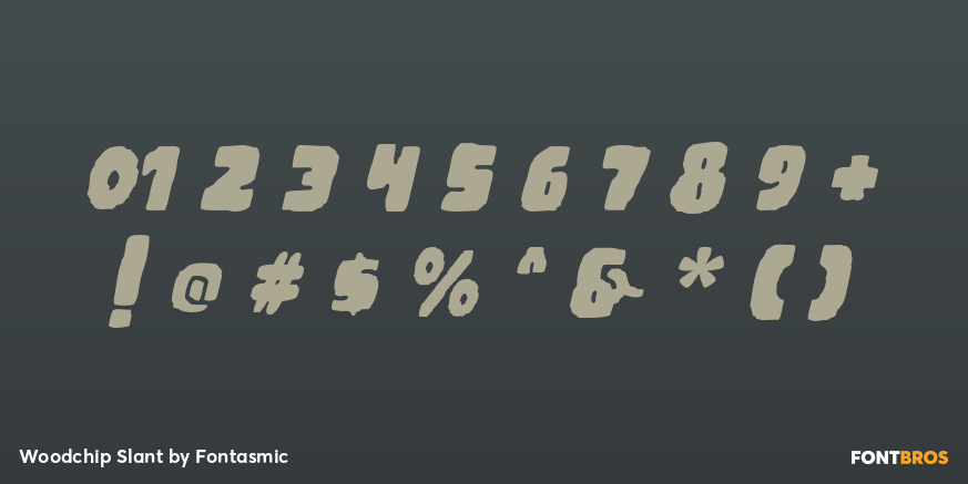 Woodchip Slant Font Poster #4