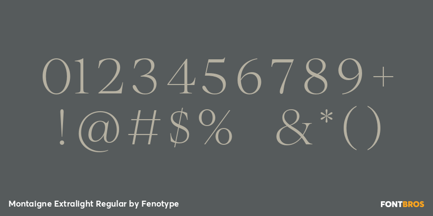 Montaigne Extralight Regular Font Poster #4