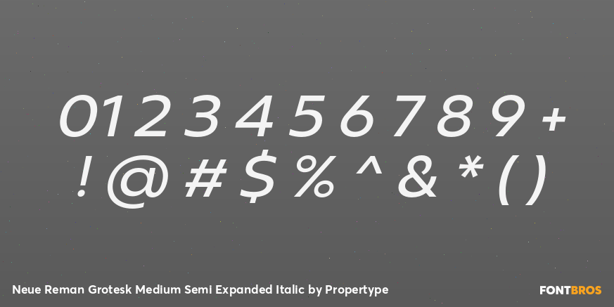 Neue Reman Grotesk Medium Semi Expanded Italic Font Poster #4